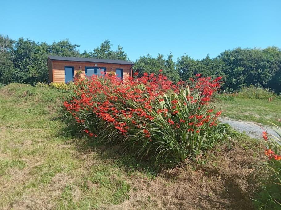 Ceaser'S Cabin Is A Cosy 1 Bedroom Cabin Lahinch Kültér fotó